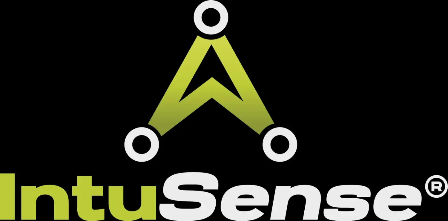 Logo IntuSense